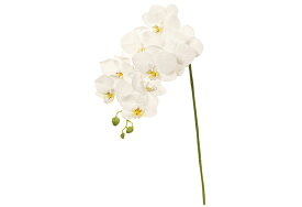 楽天市場 バレリーナ 造花 造花 人工観葉植物 花 観葉植物 花 ガーデン Diyの通販