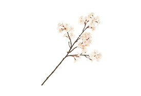 楽天市場 桜 切り花の通販