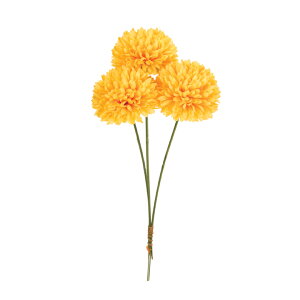 s|}sbN #4 YELLOW  / A[eBtBVt[ /  / dz̐ߋ / e