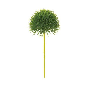 O[gtsbN 6{ A[eBtBVt[ /  / CeA