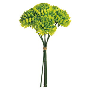 xG}sbN #23 GREEN  / A[eBtBVt[ /  / dz̐ߋ / e