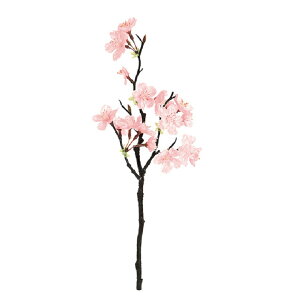 ���g�̍� �~�j PINK -