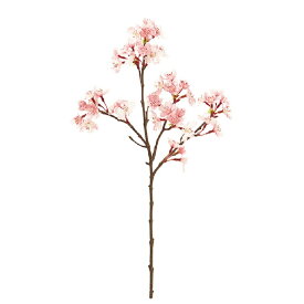 薄紅の桜　満開小 PINK ＜お花見＞