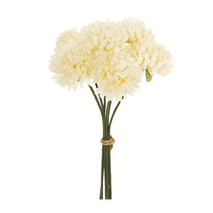 xG}sbN #30 IVORY  / A[eBtBVt[ /  / dz̐ߋ / e