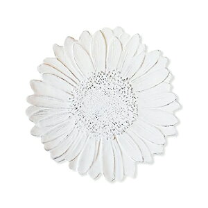 Margherita }Q[^@v[g 21cm BWjAJ[T / mH큄