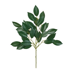 TJL GREEN  / A[eBtBV / ԁ