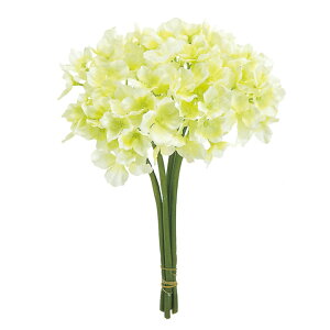 TnChWA #1 CR.GR AWTC /  / A[eBtBV