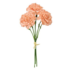 CJ[l[VsbN #6 PEACH ̓ / A[eBtBV / ԁ