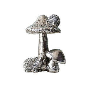 Vo[tHXg}bV[ X[ NX}X /  / fR[V / ̂ / IuWF