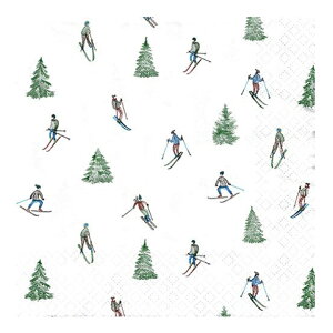 y[p[ivL Skiing 5 NX}X / XL[