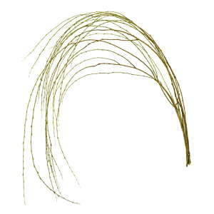 @vU[uh@O[  / }t / }t / VRfށ