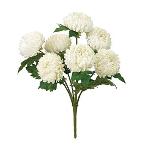 pXe}ubV #1 CR/WH  / A[eBtBVt[ /  / dz̐ߋ / e