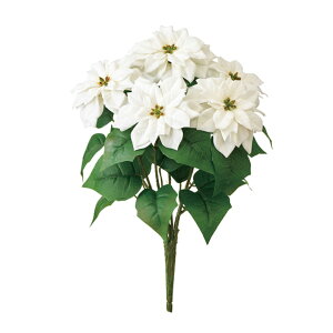 [|CZ`AubV 5 #1 WHITE  / A[eBtBV / NX}X