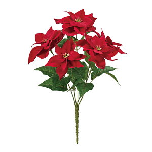 ~j|CZ`AubV #3 RED  / A[eBtBV / NX}X