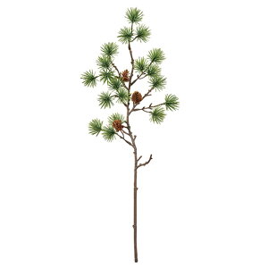 y20%ItIzyX[p[Z[IzP} GREEN }t / }t /  /  / A[eBtBV