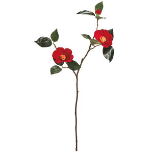 ]˒ #3 RED coL / A[eBtBV