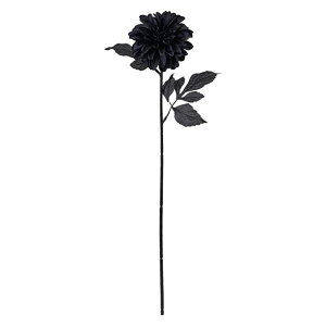 m[_A #20 BLACK nEB / fRR[V / A[eBtBVt[ /  / ubN / 