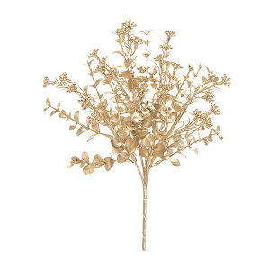 Vp[Jx[ubV CHAMPAGNE NX}X / [X /  / A[eBtBV