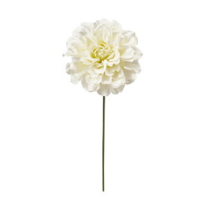 vC_AsbN #1 CR/GR A[eBtBV /  / 