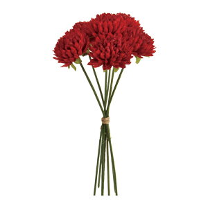 xG}sbN #3 RED  / A[eBtBVt[ /  / dz̐ߋ / e