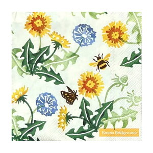 y[p[ivL DANDELION cream 5 G}ubWEH[^[ / t / ^|| / ۂ /  / ivL / Fleurs