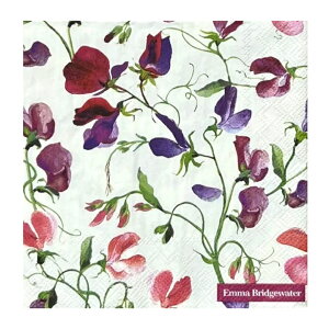 y[p[ivL SWEET PEA cream 5 G}ubWEH[^[ /  / XC[gs[ / t / ivL / Fleurs