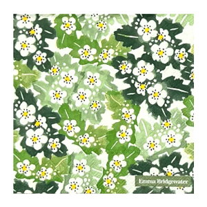 y[p[ivL HAWTHORN cream 5 G}ubWEH[^[ / TUV / Ct[ / Rq /  / ivL / Fleurs