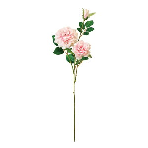 �_�}�X�N�X�v���[���[�Y #2 PINK