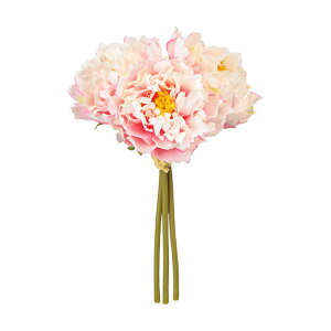 xeBsIj[oh 48 CR/PK 䉖 /  / A[eBtBV / sN