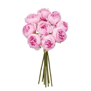 A[[sIj[u[P2 DKPK 䉖 /  / A[eBtBV / sN