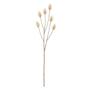 A[eB`[[ #13 BEIGE autumn color flower