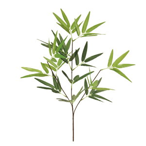 | S A[eBtBV /  / CeA / [