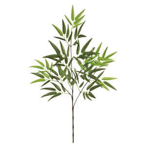 | M A[eBtBV /  / CeA / [