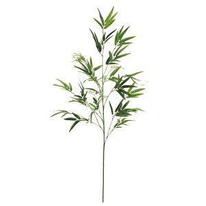 ou[Xv[ A[eBtBV /  / CeA / [