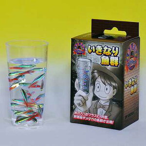 i }WbNyG1007 Ȃ苛QzfB[s[O[v