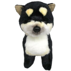 {ʂ OCXtV[YyVoCk  S z21.5cm