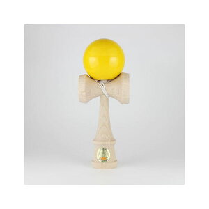 365OK{ʋF Zpʁ^ F^R`H[