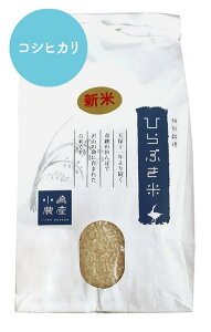 令和7年度米【新米】【数量限定】【送料無料】【減農薬】【コシヒカリ5kg 10kg】越前市 白米・玄米 産地直送 福井県 【お米 5kg以上 送料無料】お米/米/コメ/米 10kg/こめ/おこめ/kome/ojima/ozi