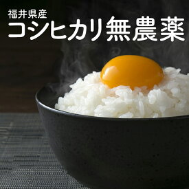 《北海道/沖縄/離島専用》令和5年度産米/新米【無農薬】【コシヒカリ10kg 20kg 30kg】【送料無料】小嶋農産 福井県産 白米・玄米 産地直送 【米10g以上 送料無料】【お米 10kg 送料無料】お米/米/コメ/米 10kg/米 20kg/米 30kg/こめ/おこめ/kome/ojima/おじま