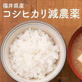 令和5年度米/新米【減農薬】【コシヒカリ10kg 20kg 30kg】【送料無料】小嶋農産　白米・玄米　産地直送　福井県 【米10kg 送料無料】【お米 10kg以上 送料無料】お米/米/コメ/米 10kg/こめ/おこめ/kome/【米10kg 送料無料】/ojima/ozima/おじま/こじま/こじこじ