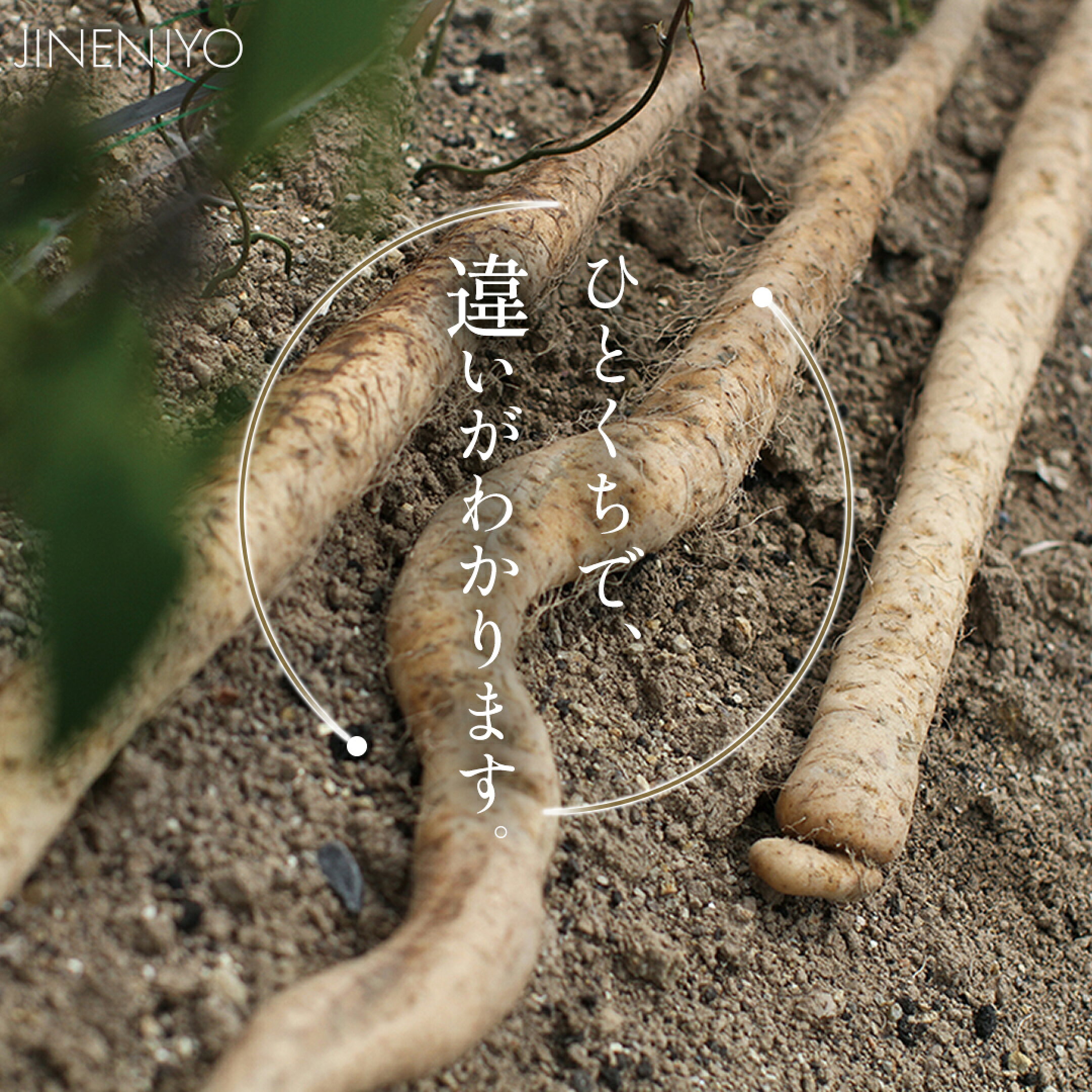 自然薯入り味付きとろろ汁４個