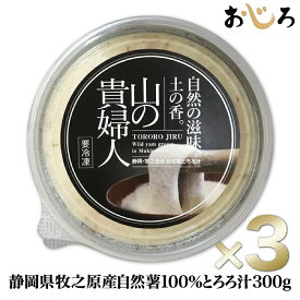 【送料無料】山の貴婦人300g×3 自然薯100％とろろ汁/1パック3人分日本ギフト大賞2019静岡賞受賞水卜麻美アナがZIP！で、山の貴婦人を秒殺食べモデルも絶賛！雑誌やデパートギフトで人気離乳食・流動食にお手軽で便利！ 敬老の日 冷凍