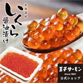 楽天市場 いくら 500gの通販