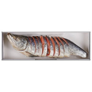  Mtg q̍ pؐg1kg(CB40) kCY É  qT[ v[g   VP CN  ̓ ̓ NX}X hV̓ Ε  j a