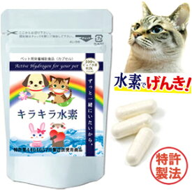 楽天市場 猫 キラキラ水素の通販 楽天市場 猫 キラキラ水素の通販