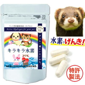 水素専門店 フェレット 水素サプリ 持続型 水素水 も作れる ペット用 キラキラ水素30入 水素カプセル 高齢 介護 ペットフード に混ぜてもOK ペット SOD 特許製法 日本製 国産