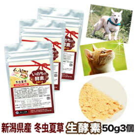 犬 猫 ペット 冬虫夏草 純国産 品質保証 コルジセピン 酵素 ペット酵素 いのちの酵素 50g3袋 粉末 健康食品 日本産 国産 サプリ パウダー 菌 免疫 ベータグルカン βグルカン アミノ酸 菌活 大型犬 小型犬 老犬 老猫 ヒューマングレード