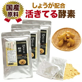 お1人様1回限り 生姜配合 玄米酵素 生酵素 砂糖不使用 サプリ 活きてる酵素12包 麹菌 非加熱酵素 しょうが 温活 高知県産 しょうが粉末 低温乾燥 生姜パウダー 特別栽培米 無農薬 減農薬 玄米 国産
