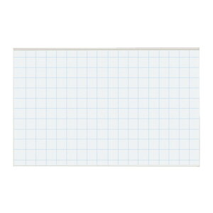 コクヨ 名刺型名札(安全ピン・クリップ両用) 大 ヨコ型 ハードタイプ 名刺サイズ メーカー品番:ナフ-20 カード寸法:W91xH56mm