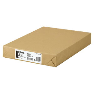 RN@ڕ\@\@A3@@100@[J[i:ZC-845N@:500g/ā@TCY:424x303mm